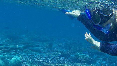 Snorkeling