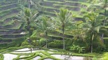 Ubud