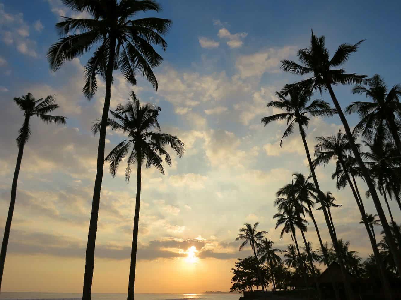 Surfing at Medewi  Beach Bali  Hotel Accommodation 