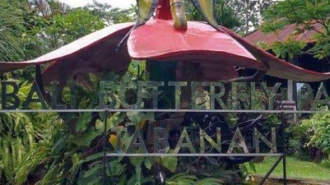 Bali Butterfly Park