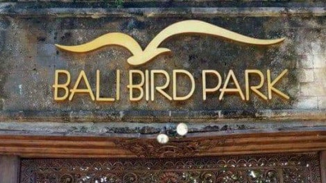 Bali Bird Park