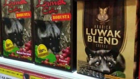 Kopi Luwak